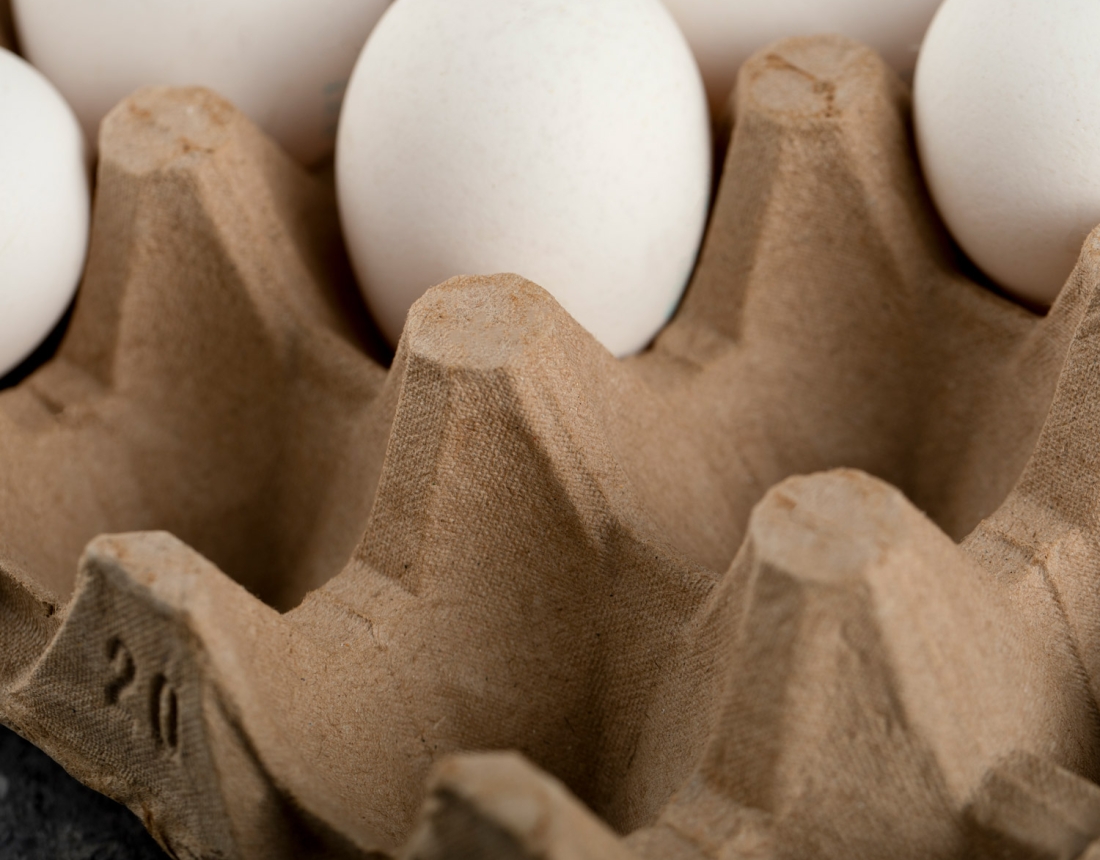 raw-chicken-eggs-egg-box-marble-surface-web